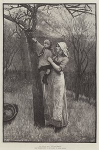 Le jeune bourgeon (gravure) - English School