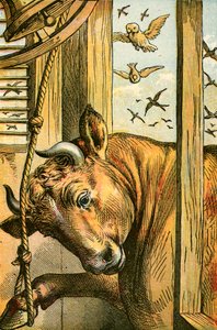 Le taureau sonnant la cloche - English School