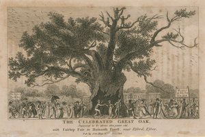 Le célèbre grand chêne, supposé avoir plus de 1800 ans - English School