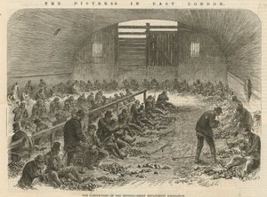 La détresse à East London - English School