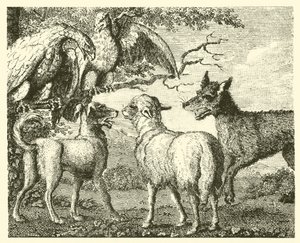 Le chien et le mouton