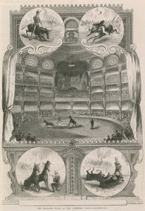 Les mules éduquées au Alhambra Palace, Londres - English School