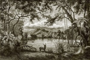 Le lac enchanté dans l