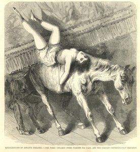 Le cheval fougueux et indompté oublie son rôle, et le rideau tombe malheureusement