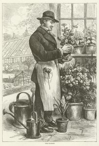 Le fleuriste