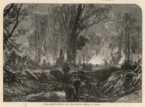 La forêt en feu et les tombes ouvertes à Paris