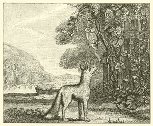 Le renard et les raisins - English School