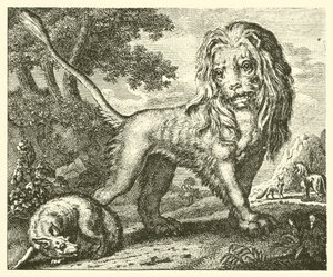 Le renard et le lion - English School