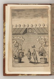 Frontispice de The City Gardener par Thomas Fairchild - English School