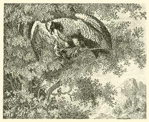 Le faucon et le rossignol (gravure) - English School