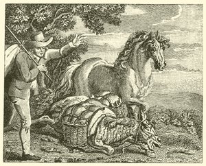 Le cheval et l