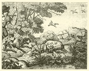 Le castor chassé (gravure) - English School