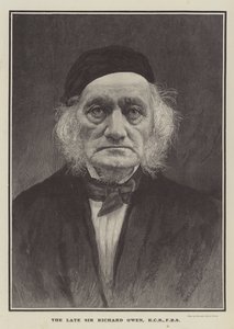 Feu Sir Richard Owen, KCB, FRS (gravure) - English School