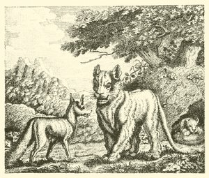 La lionne et le renard (gravure)