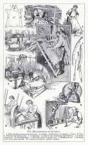 La fabrication du cuir - English School