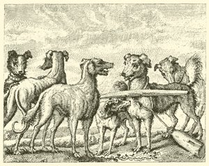 Le chien espiègle (gravure)