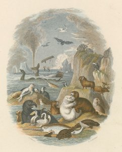 Le monde naturel - English School
