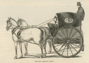 Le nouveau curricle tribus