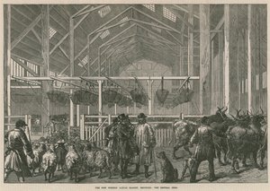 Le nouveau marché aux bestiaux étrangers, Deptford, Londres - le hangar central