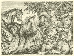 Le vieux lion (gravure) - English School