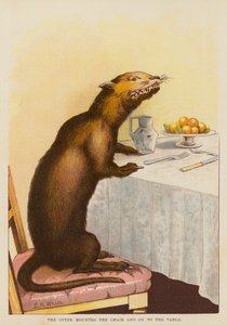 La loutre monta sur la chaise et sur la table - English School