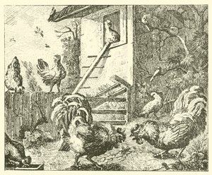 La perdrix et les coqs - English School