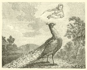 La plainte du paon (gravure)