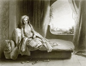 La fierté du harem - English School