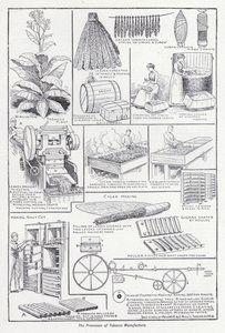 Les processus de fabrication du tabac - English School