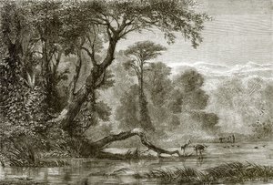 Le fleuve Phasis - English School