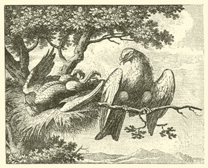 Le cerf-volant malade (gravure) - English School