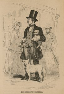 Le vendeur de chiens de rue - English School