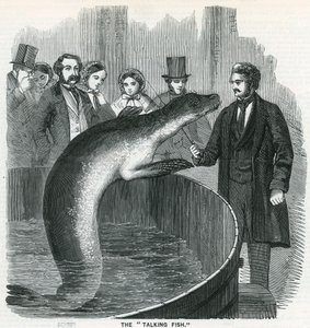 Le poisson qui parle