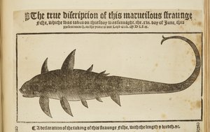 La véritable description de ce poisson merveilleux et étrange, 1569 - English School