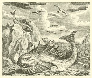 Le thon et le dauphin - English School
