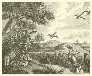 Les deux pots - English School