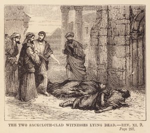 Les deux témoins revêtus d