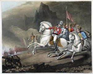 Les victoires du duc de Wellington (d