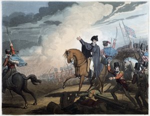 Les victoires du duc de Wellington (d