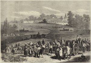La vendange dans le Médoc - English School