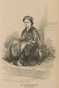 La fille aux giroflées - English School