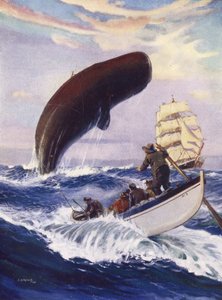 La baleine a soulevé toute sa masse hors de l