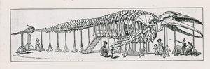 Le salon des squelettes à Charing Cross