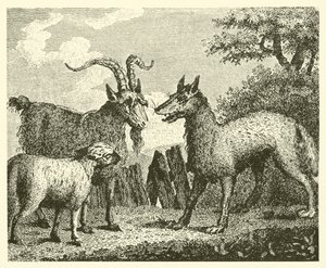 Le loup, l