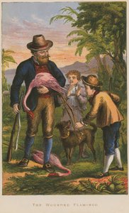 Le flamant blessé - English School