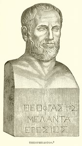 Théophraste - English School