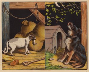 Voici le chat; Voici le chien - English School