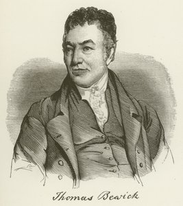 Thomas Bewick - English School