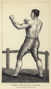 Thomas Cribb, Champion d