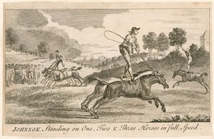 Thomas Johnson debout sur un, deux et trois chevaux à pleine vitesse - English School